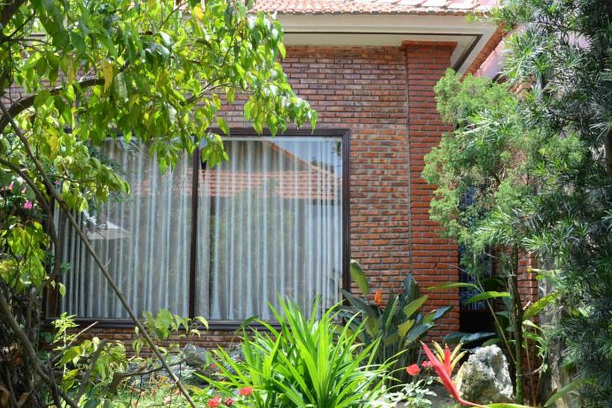 313 Cua Dai - Viet House Homestay Хой Ан Екстериор снимка